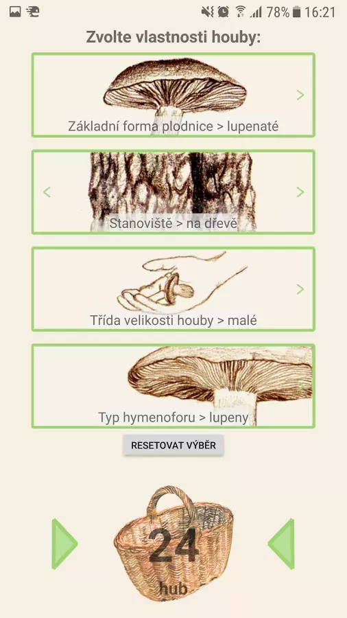Foto 1 k článku Bojíte se sbírat houby v lese? Stáhněte si novou českou aplikaci!