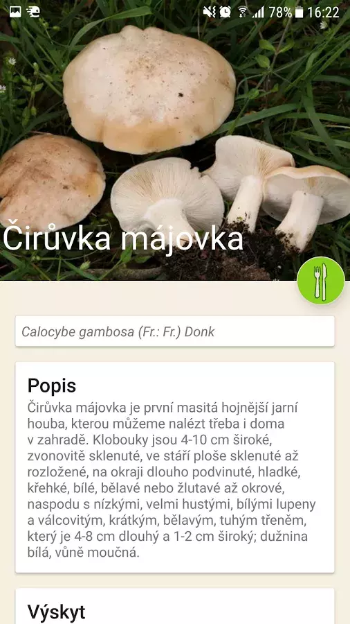 Foto 3 k článku Bojíte se sbírat houby v lese? Stáhněte si novou českou aplikaci!