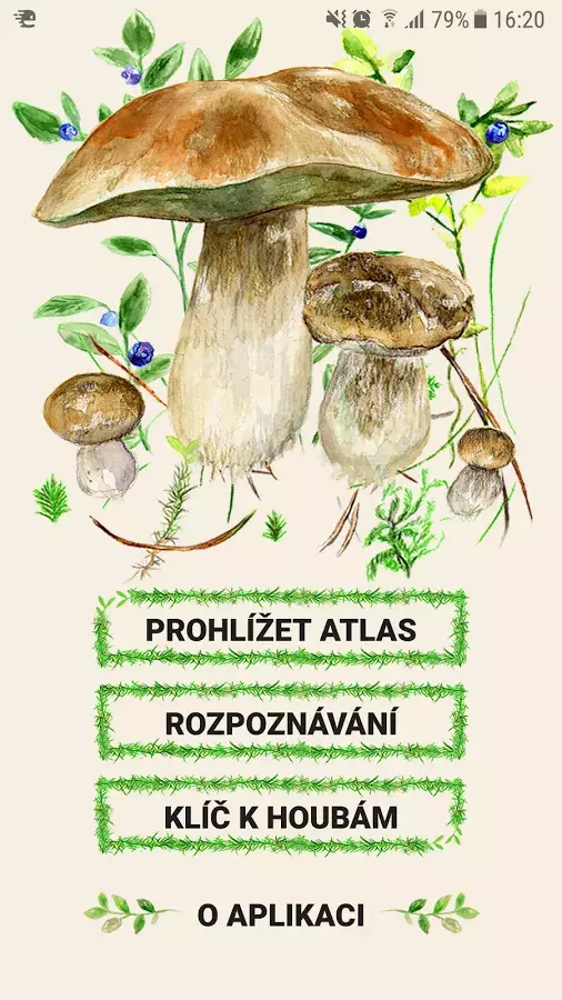 Foto 4 k článku Bojíte se sbírat houby v lese? Stáhněte si novou českou aplikaci!