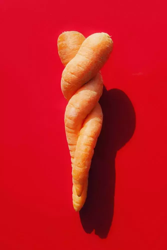 V jednoduchosti a symetrii je krása. Autor fotografie vyfotil vajíčko v jeho tak trochu přirozeném prostředí – v cukru! K dvojici už stačí přidat jen pár ingrediencí, a na světě je skvělý moučník.