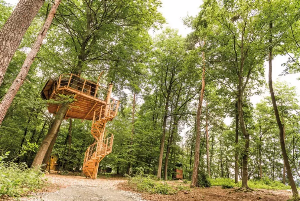Foto 4 k článku Vyhrajte noc ve Stromodomě pro 2 osoby!