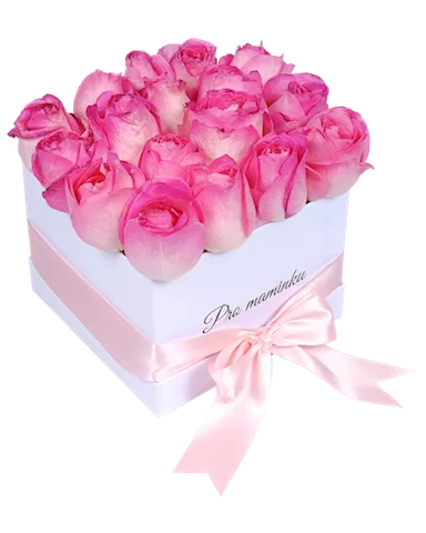 krabice ruzi