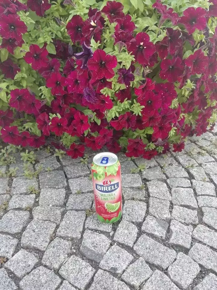 Foto 9 k článku „Pošli fotku a vyhraj“ má vítěze