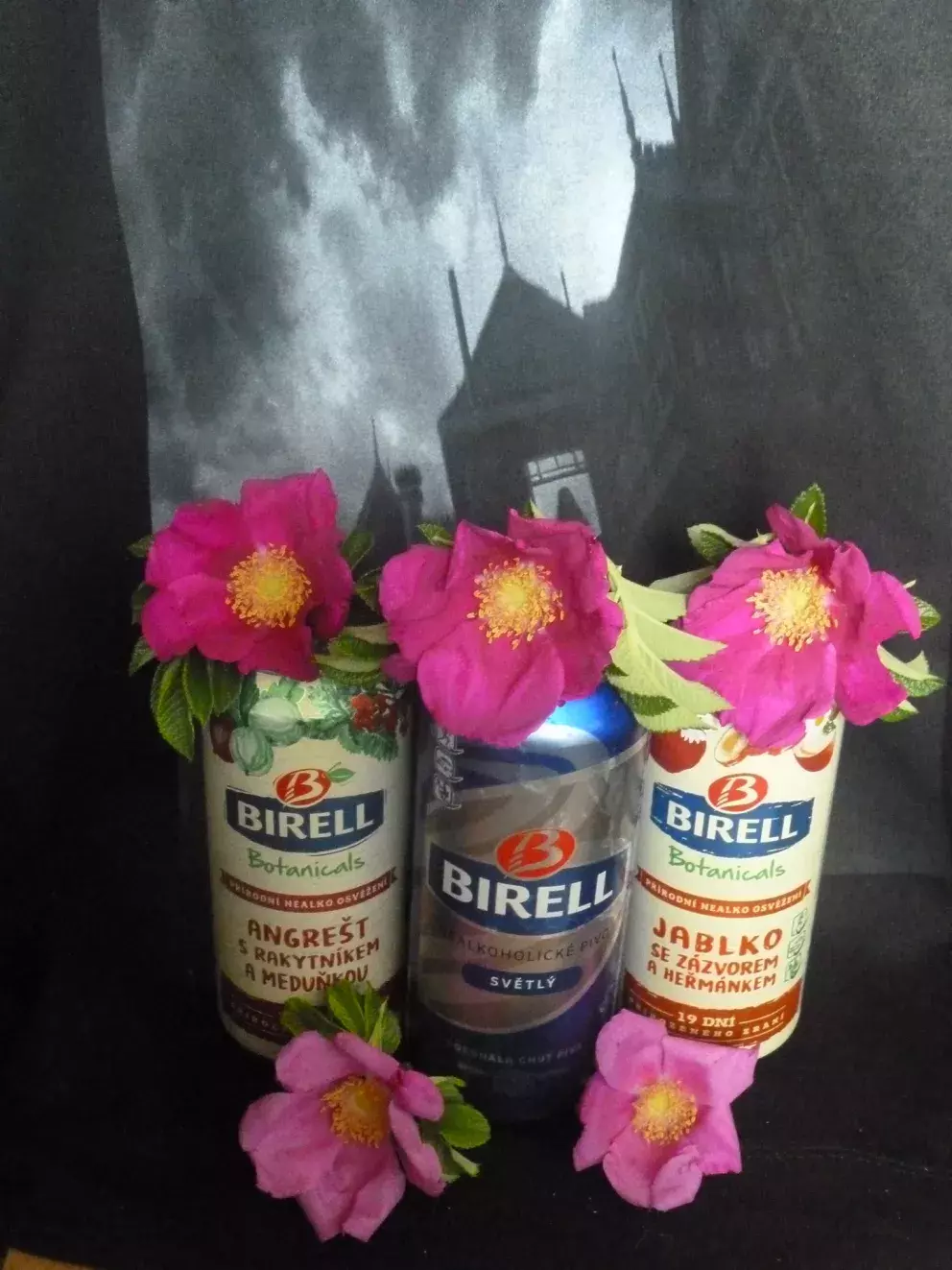 Foto 15 k článku „Pošli fotku a vyhraj“ má vítěze