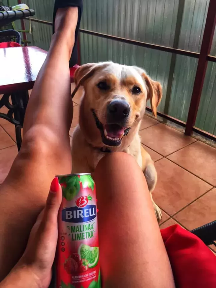 Foto 2 k článku „Pošli fotku a vyhraj“ má vítěze