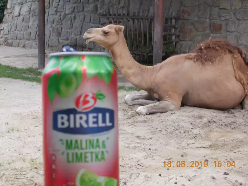 Foto 2 k článku „Pošli fotku a vyhraj“ má vítěze