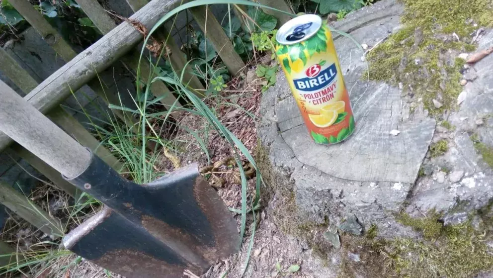 Foto 14 k článku „Pošli fotku a vyhraj“ má vítěze