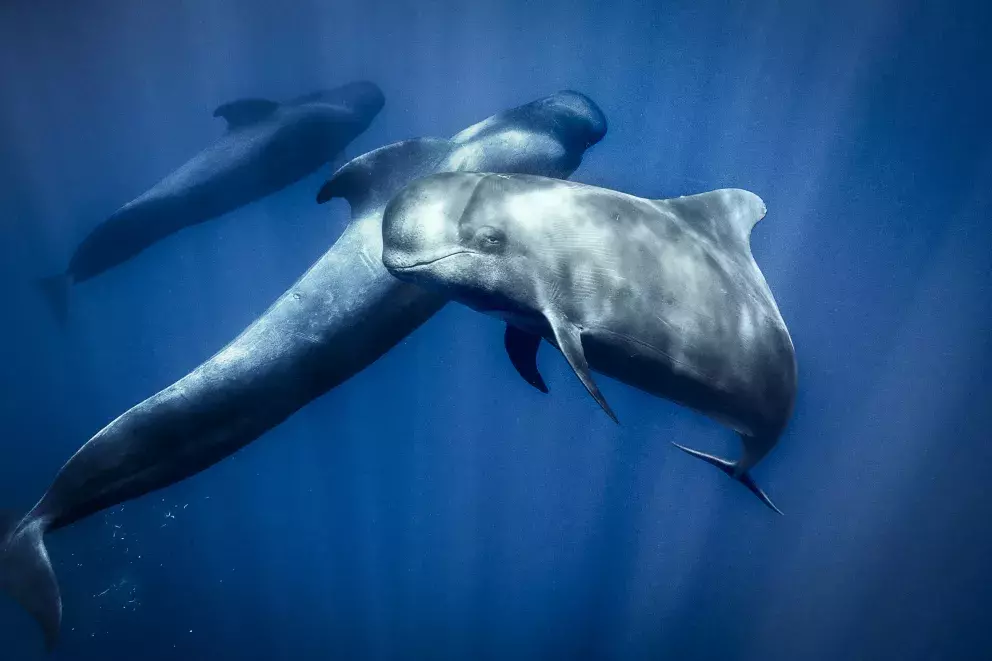 Foto 11 k článku George Karbus: „Ve fotce musí být něco hlubšího.“