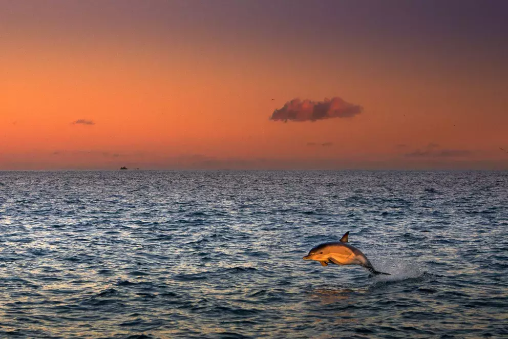 Foto 9 k článku George Karbus: „Ve fotce musí být něco hlubšího.“