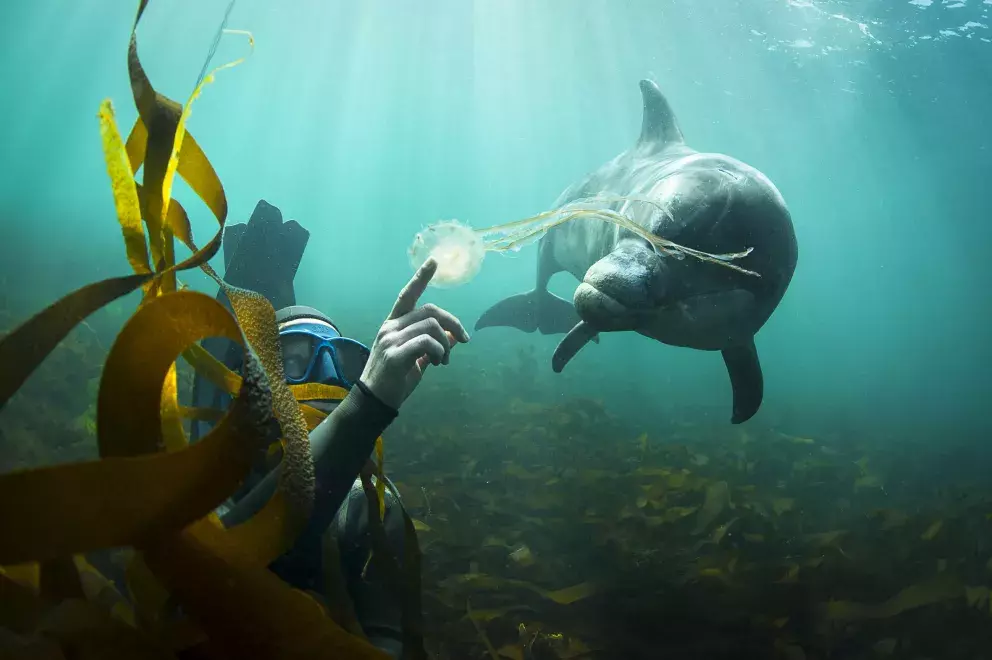 Foto 10 k článku George Karbus: „Ve fotce musí být něco hlubšího.“