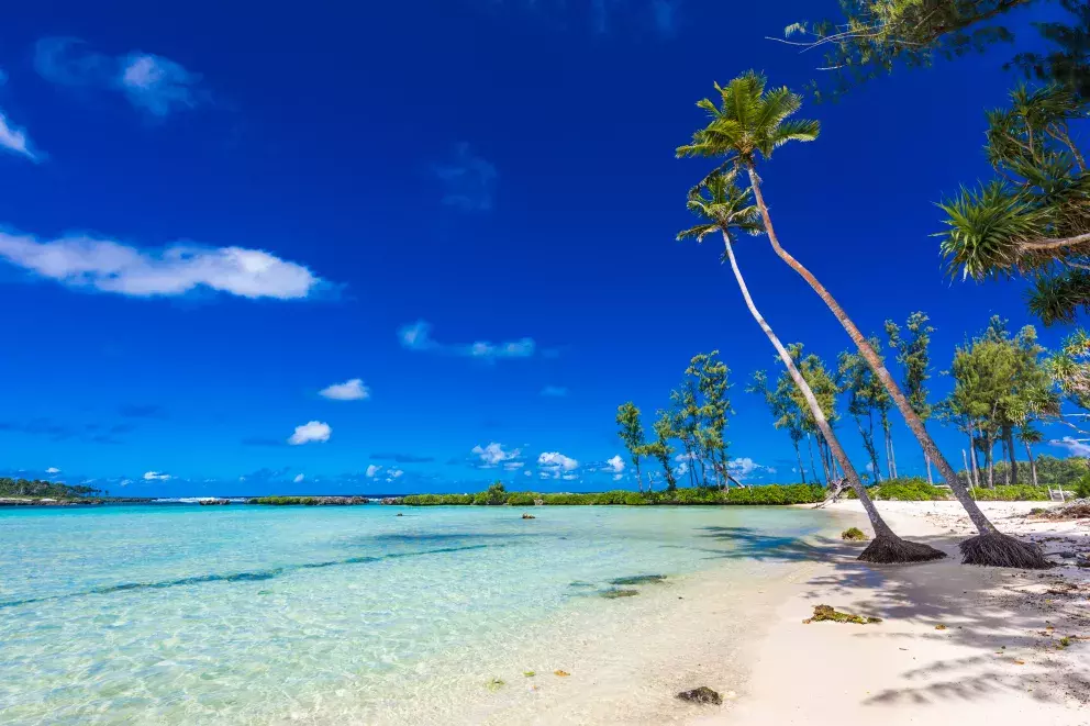 <p><strong>10. Vanuatu</strong></p>

<p>140% meziroční nárůst</p>

<p>Toto malebné souostroví, ležící 2 000 kilometrů východně od Austrálie, je domovem opuštěných pláží a divočiny v Tichomoří. Vanuatu zahrnuje více než 80 ostrovů a má nejvyšší hustotu jazyků na obyvatele - v celém souostroví se mluví více než 100 rodnými jazyky.</p>
