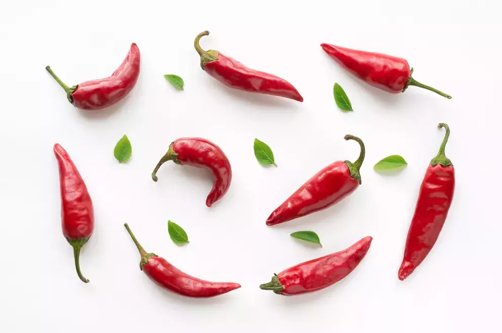 <p><strong>Chilli osvěží</strong><br />
Chilli papričky nás dokážou rychle osvěžit. Jakmile ucítíme v ústech jejich ostrou chuť, dojde v mozku k reakci, kdy se uvolňují endorfiny, které jsou tvořeny chemickými sloučeninami vyvolávajícími krásné a příjemné pocity.</p>
