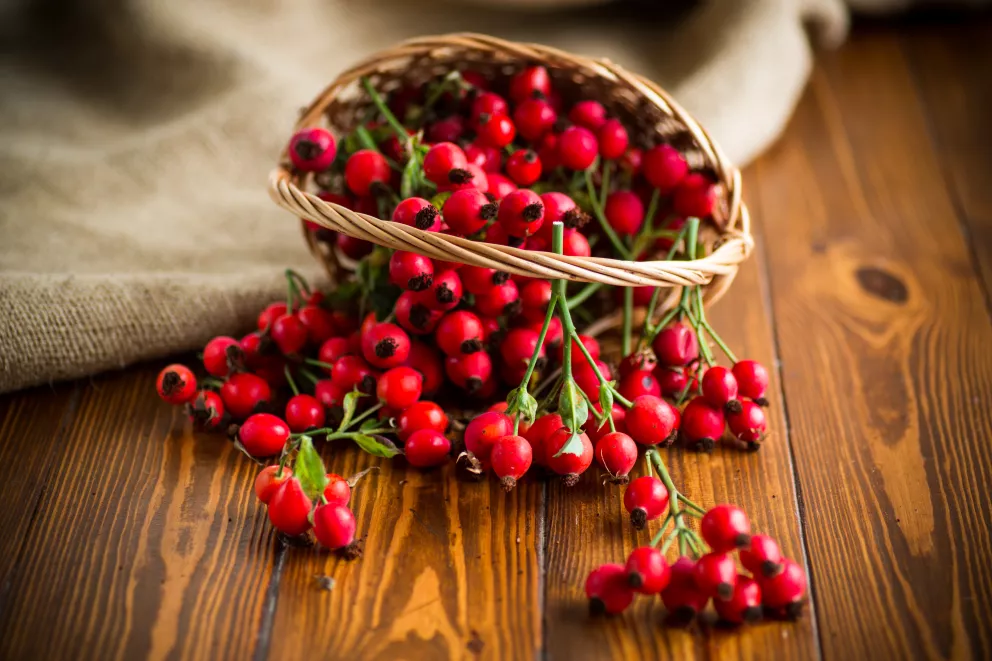 české superpotraviny