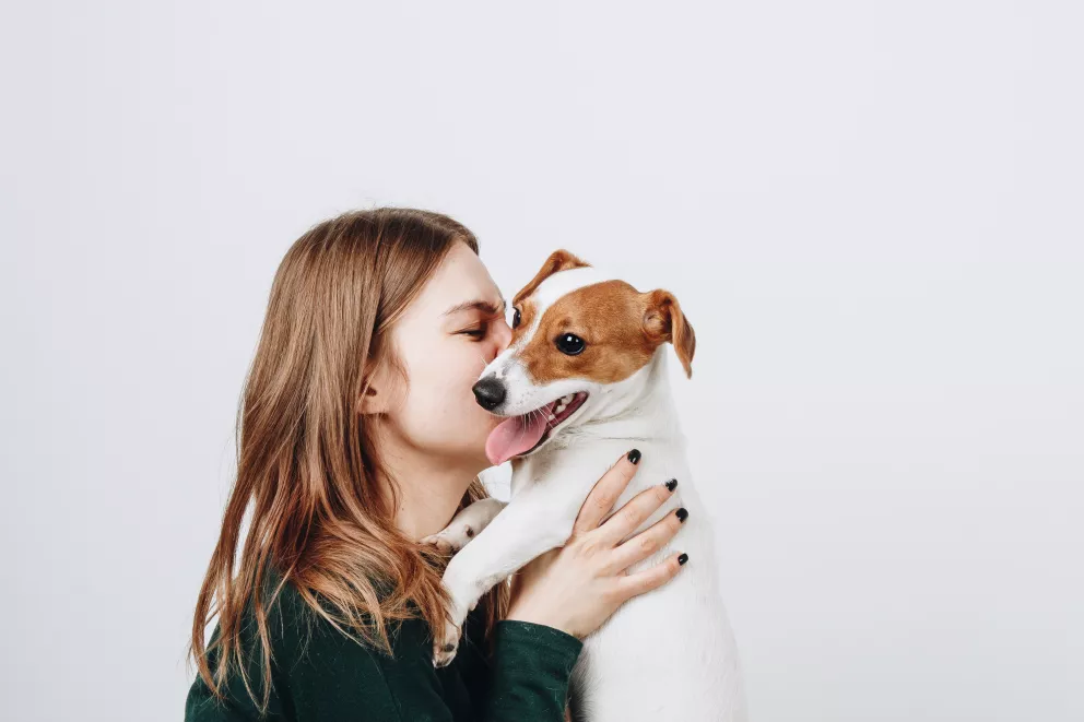 pojištění Mazlíček