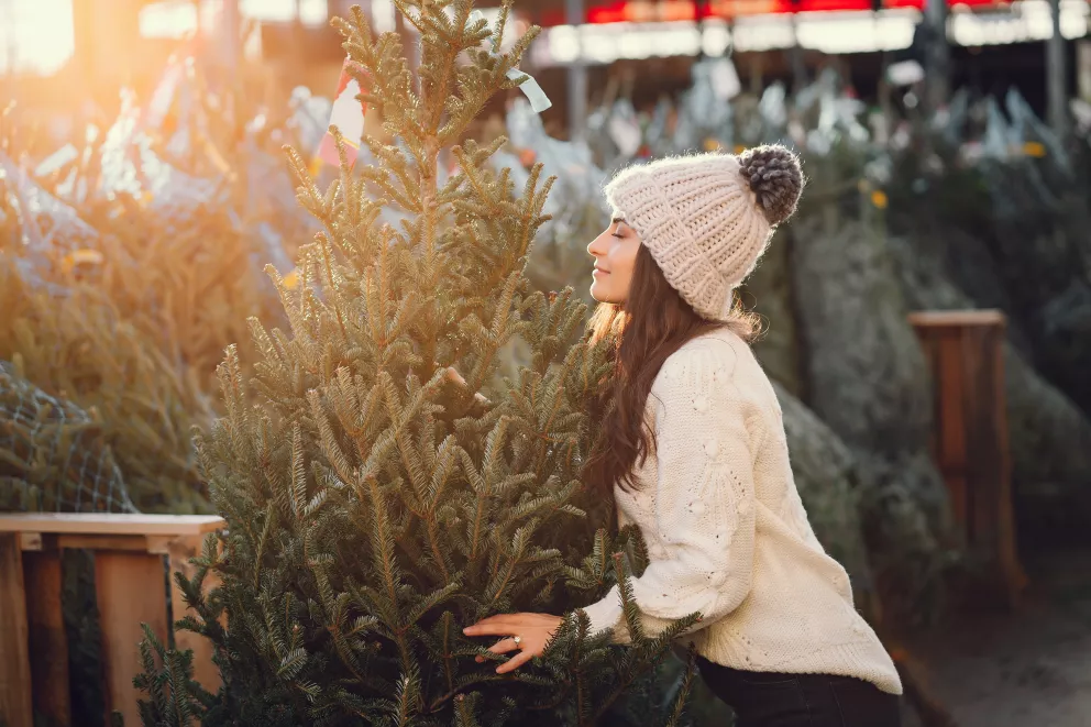 Magická síla stromů