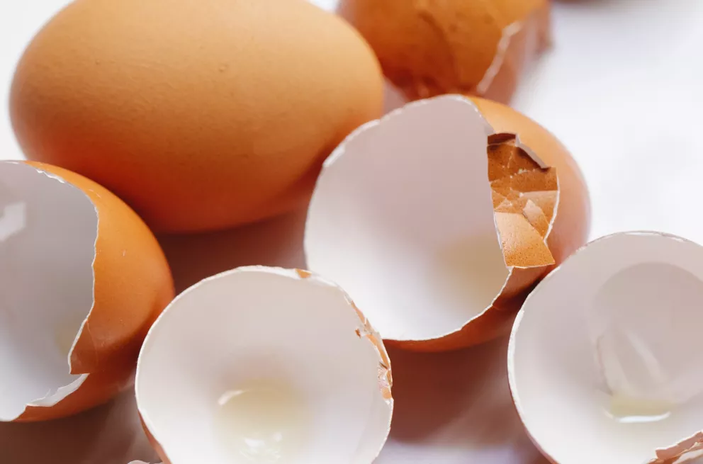 Skořápky od vajíček