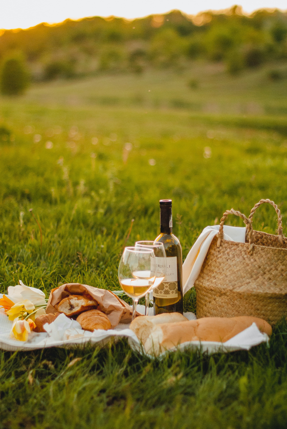Apetit piknik