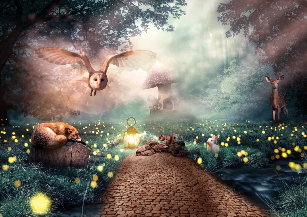 Test osobnosti, sova