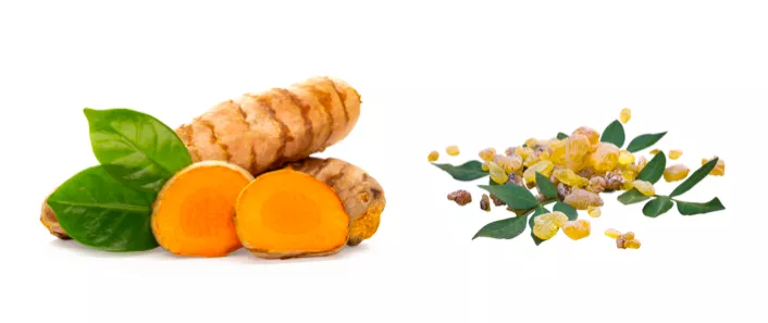 Kurkuma a kadidlovník