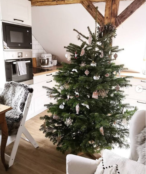 Vánoční stromeček dekorovaný vlastnoručně dělanými perníčky.&nbsp;
