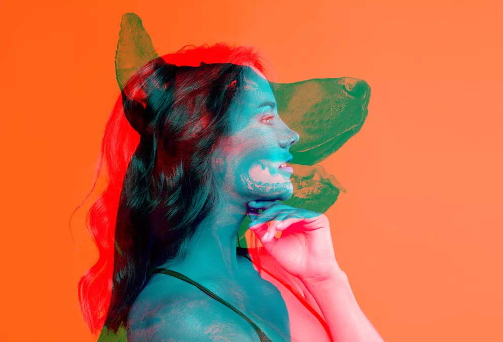 Kvíz osobnost zvířete