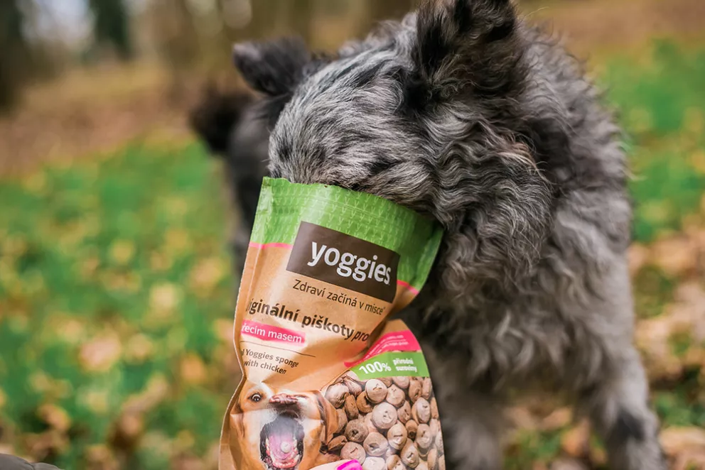 Yoggies strava pro psy a kočky
