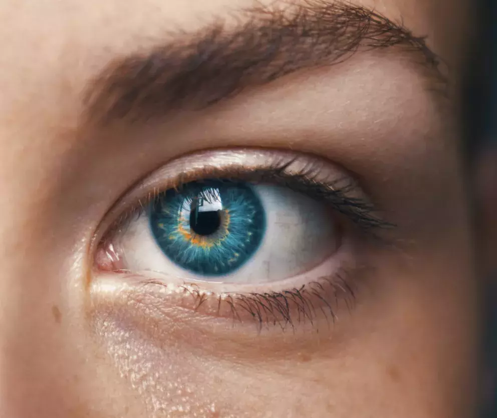 Foto 7 k článku článek Newsletter