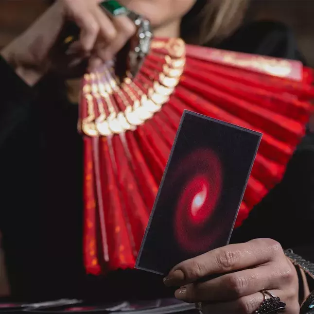 Foto 31 k článku článek Newsletter