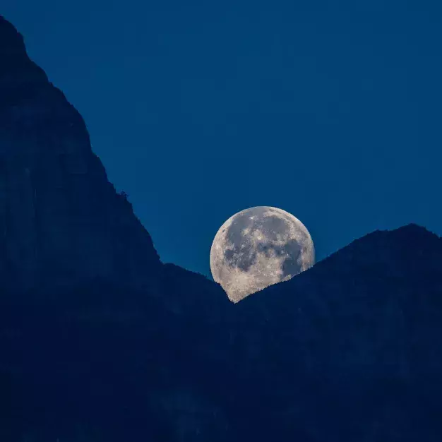 Foto 9 k článku Newsletter 2