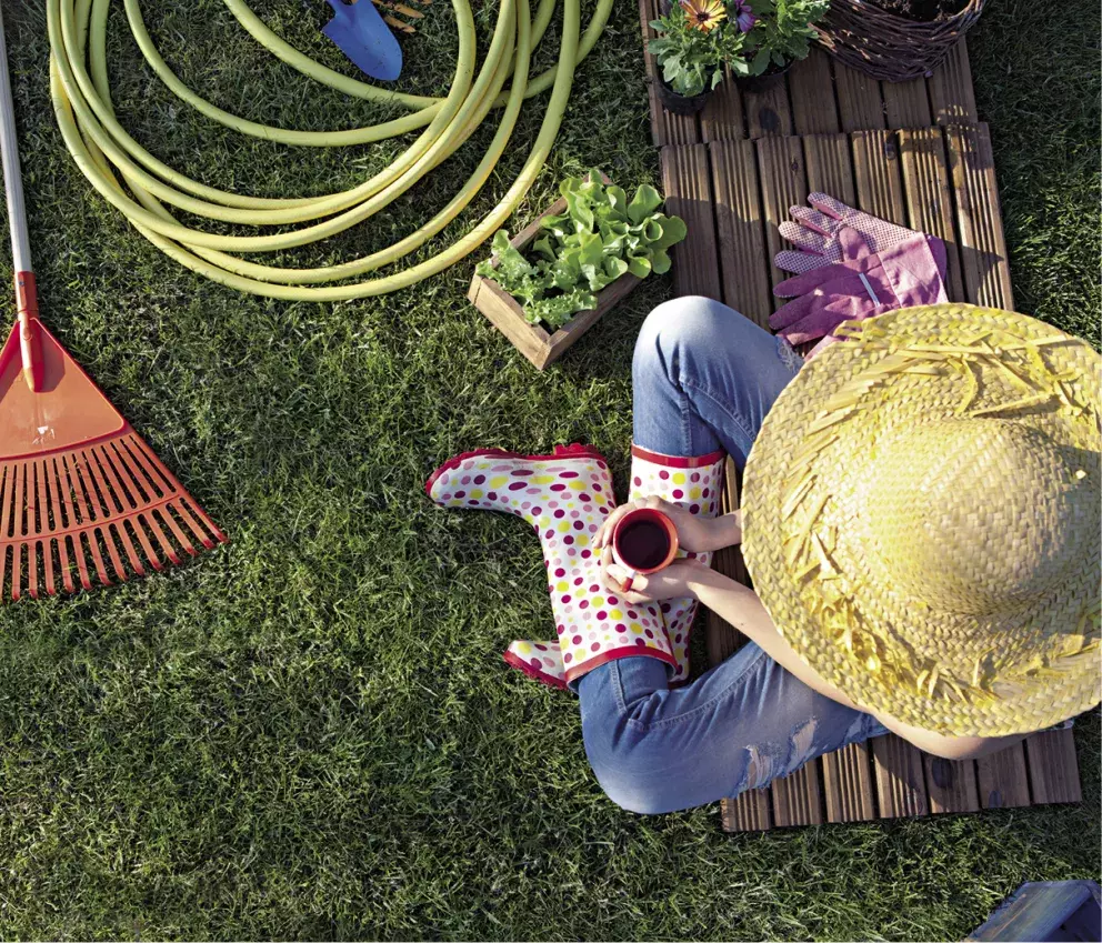 Foto 16 k článku článek Newsletter