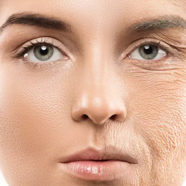 Foto 37 k článku článek Newsletter