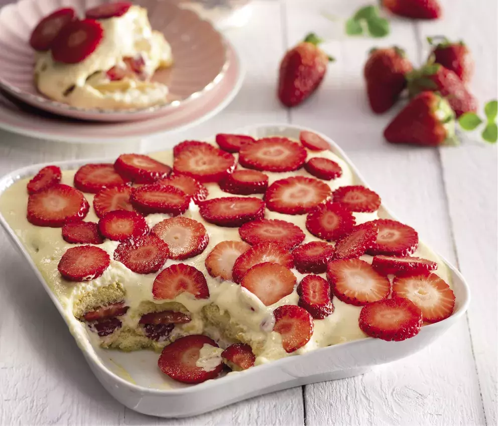 Foto 24 k článku Newsletter 2