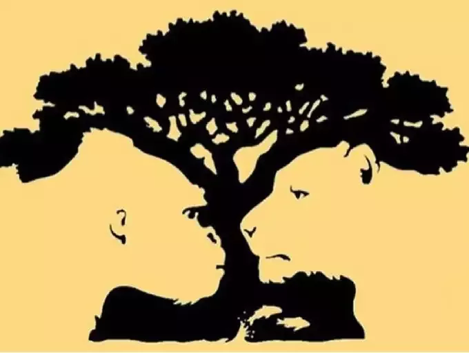 Co vidíte na obrázku?