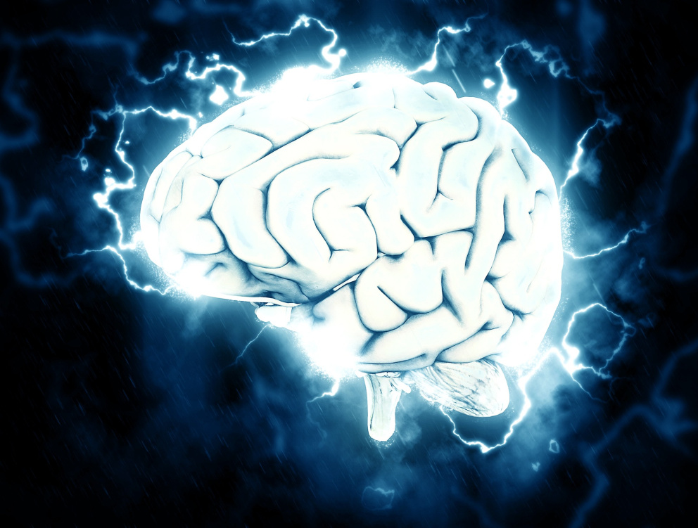 Lidský mozek zpracovává impulzy, které mu člověk poskytne
