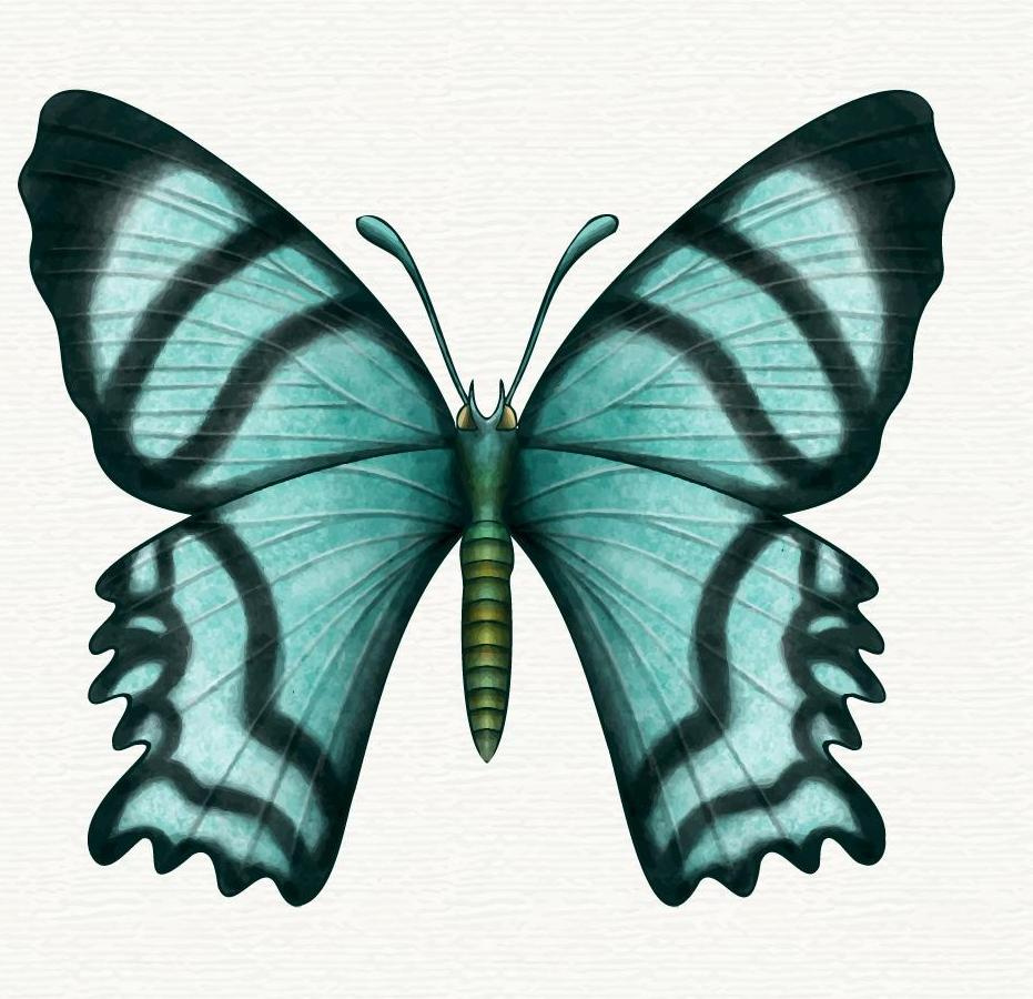 Modrý motýl vám říká, ať změníte styl komunikace.

