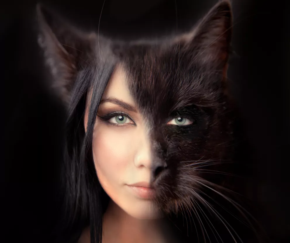 Jake zvíře vidíte na obrázku