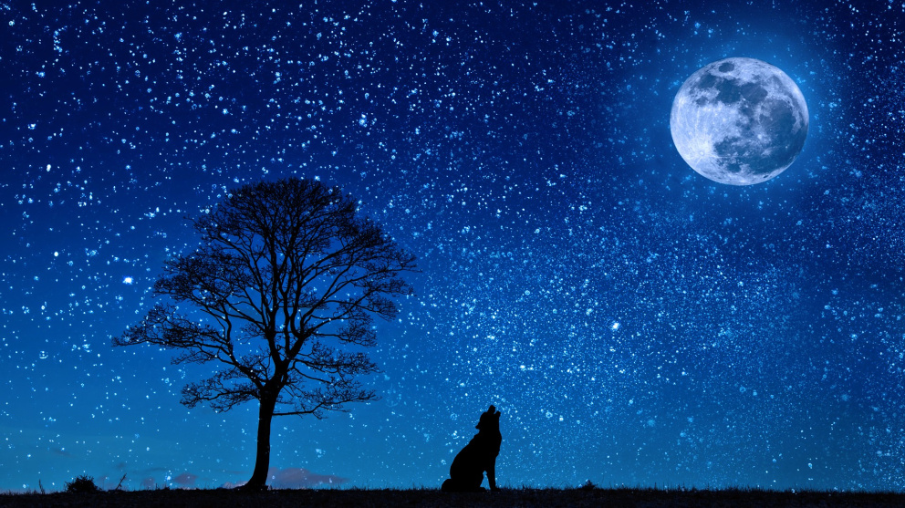 Horoskop: Nastává novoluní ve Střelci. Čeká nás velké riskování a nové věci v životě