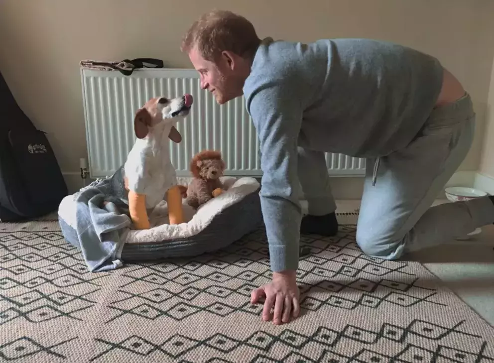 Foto 9 k článku Nový dokument o Harrym a Meghan odhaluje fotografie, které nikdy nikdo neviděl. Zásnuby na dece nebo tajný výlet