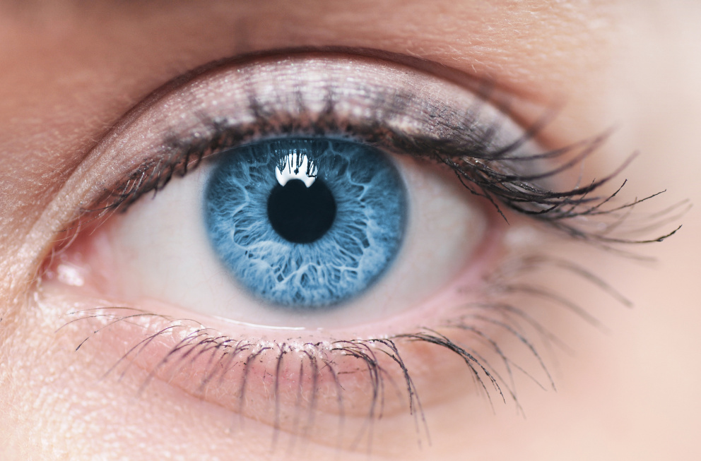 Jaké nemoci se dají vyčíst z barvy oční duhovky: Tajemná iridologie umí odhalit poruchy imunity nebo cukrovku