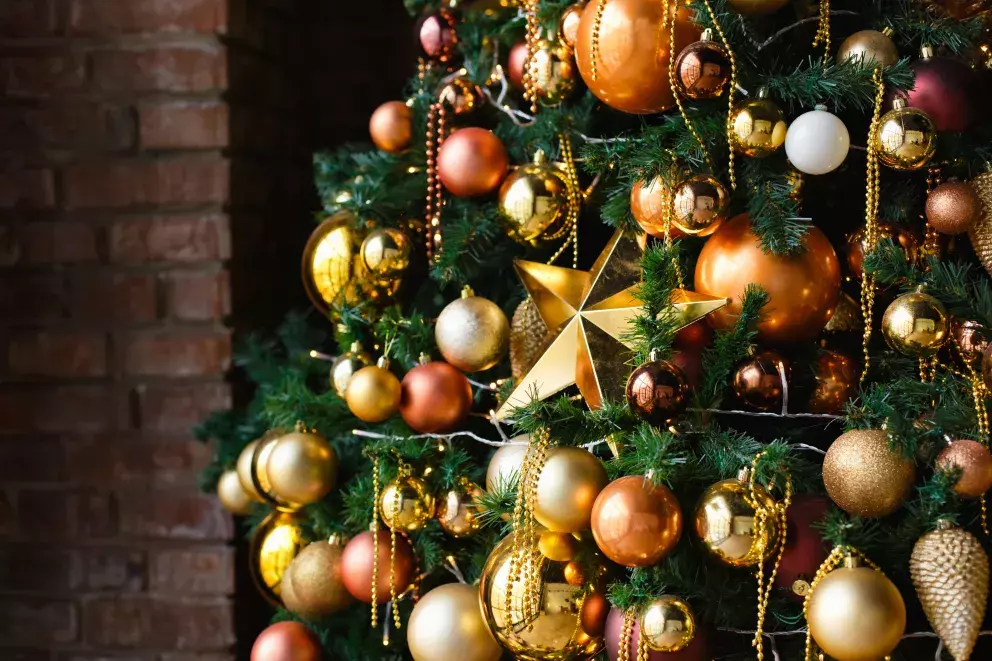 Foto 31 k článku Vánoční trendy 2022: Prohlédněte si úchvatné vánoční stromečky. Letos jsou v módě klasické barvy, bílá i jedna netradiční