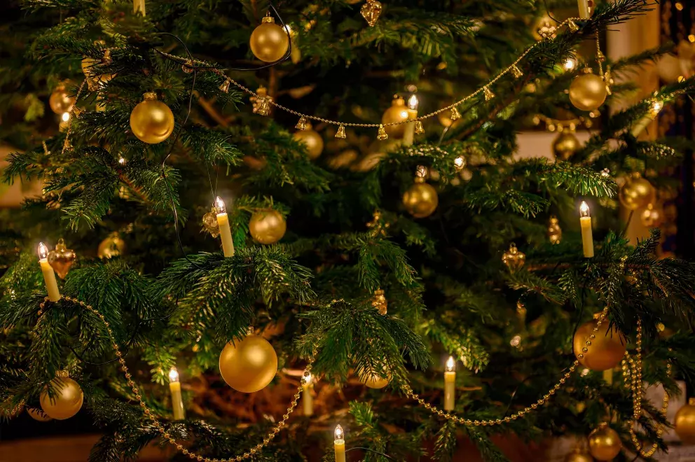 Foto 23 k článku Vánoční trendy 2022: Prohlédněte si úchvatné vánoční stromečky. Letos jsou v módě klasické barvy, bílá i jedna netradiční