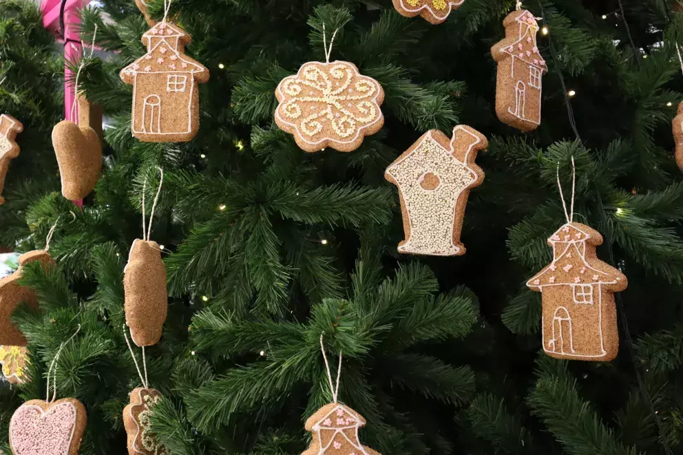 Foto 21 k článku Vánoční trendy 2022: Prohlédněte si úchvatné vánoční stromečky. Letos jsou v módě klasické barvy, bílá i jedna netradiční