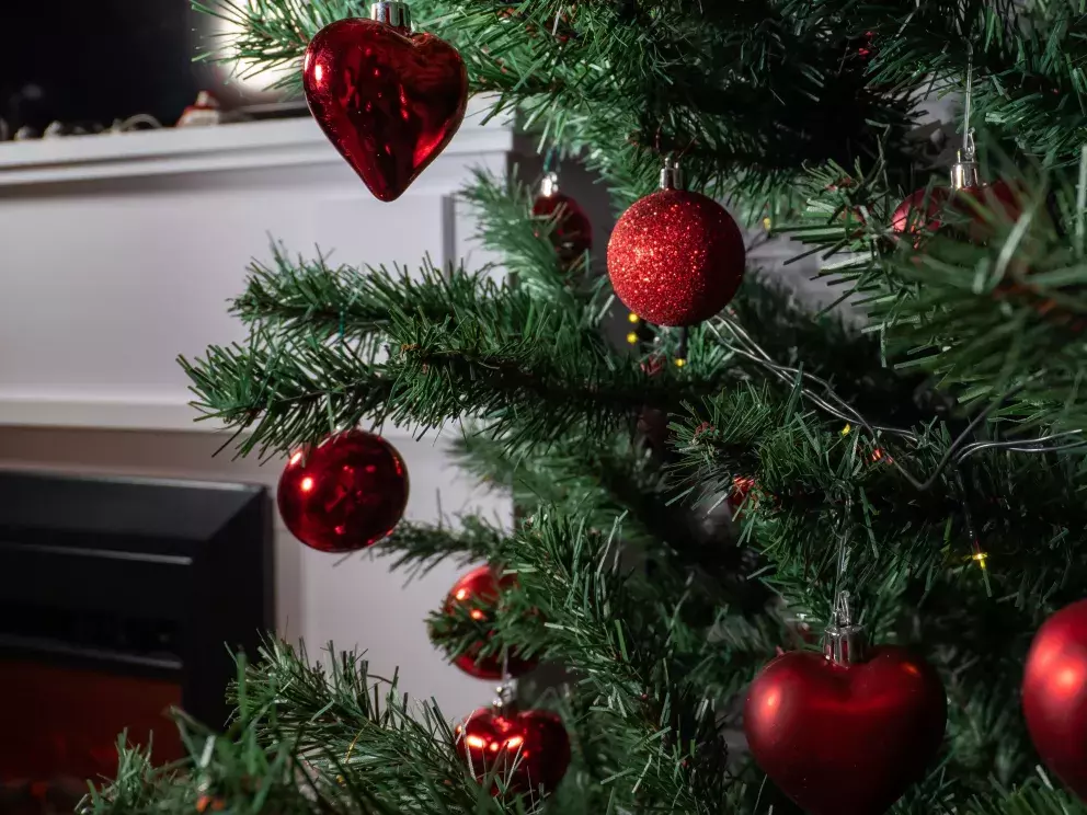 Foto 28 k článku Vánoční trendy 2022: Prohlédněte si úchvatné vánoční stromečky. Letos jsou v módě klasické barvy, bílá i jedna netradiční