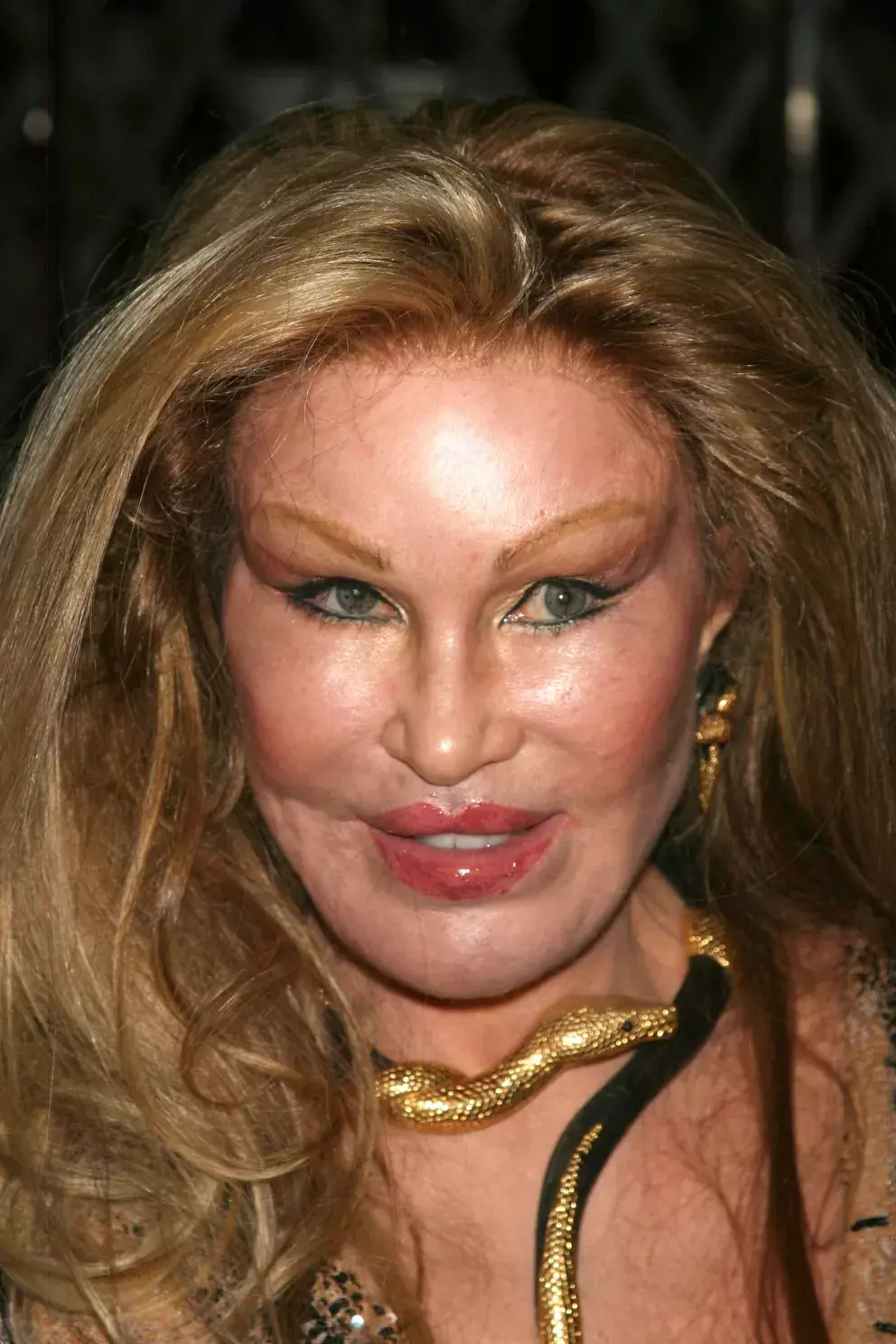 Foto 4 k článku Kočičí žena kdysi bývala neskutečně bohatá a krásná. Dnes pobírá sociální dávky