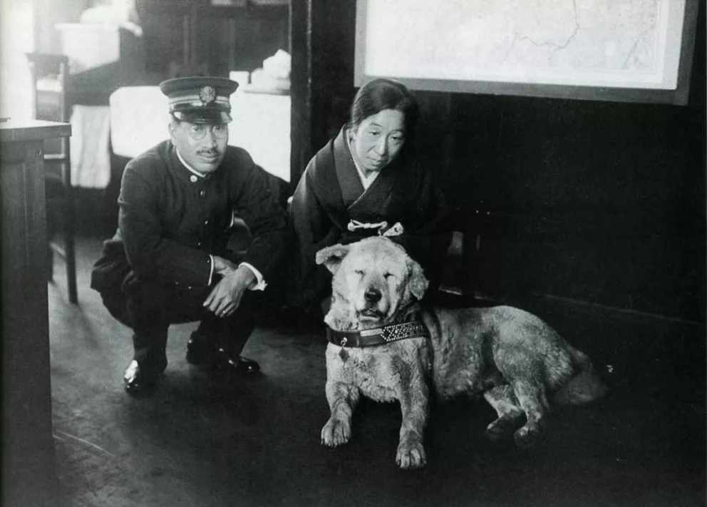 Hachiko