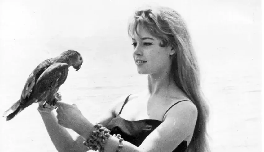 Brigitte Bardot