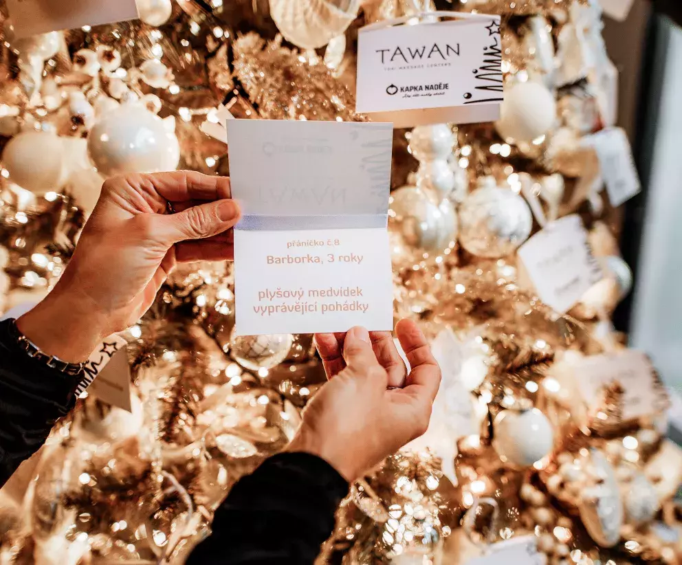 vendula pizingerová