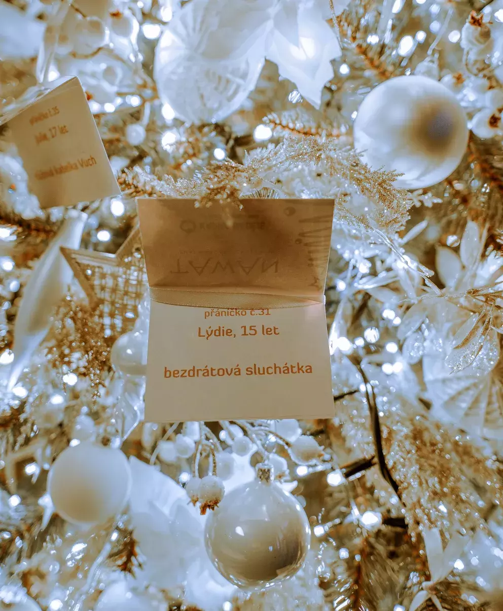 vendula pizingerová