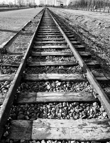 Koncentrační tábor v Osvětimi