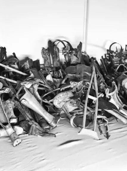 Koncentrační tábor v Osvětimi